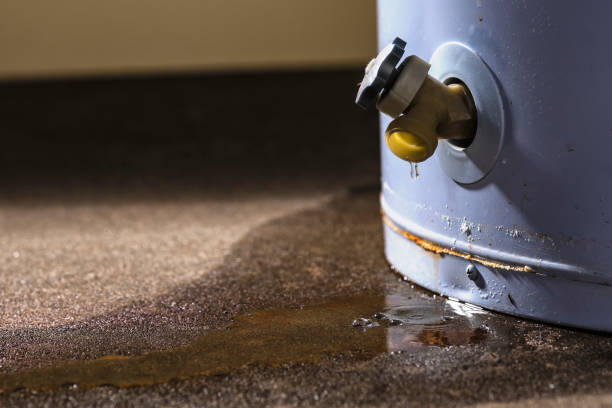 Best Water damage mitigation services  in Lexington, TN