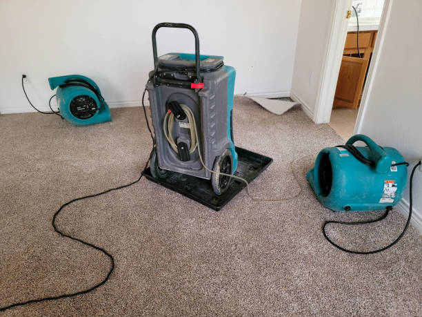 Best Water damage restoration process  in Lexington, TN
