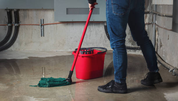 Best Water damage restoration near me  in Lexington, TN
