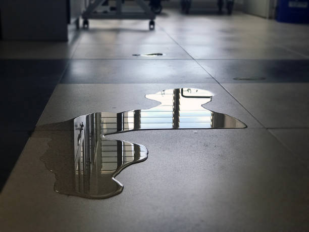 24/7 water damage repair in Lexington, TN