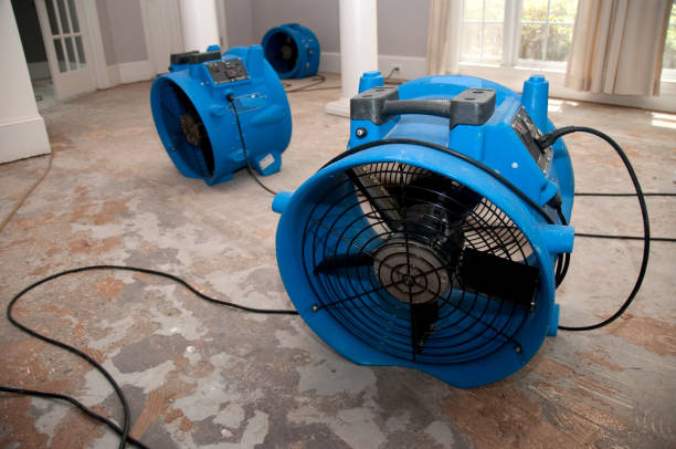Best Water damage cleanup near me  in Lexington, TN