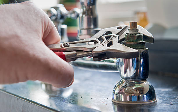 Best Water damage restoration mold remediation  in Lexington, TN