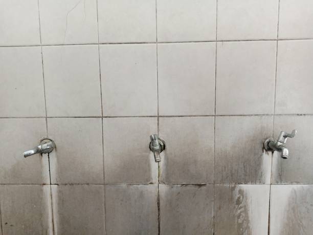Best 24/7 water damage repair  in Lexington, TN