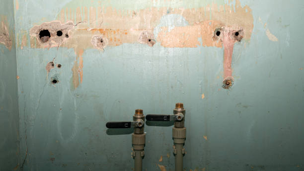 Best Water damage restoration near me  in Lexington, TN