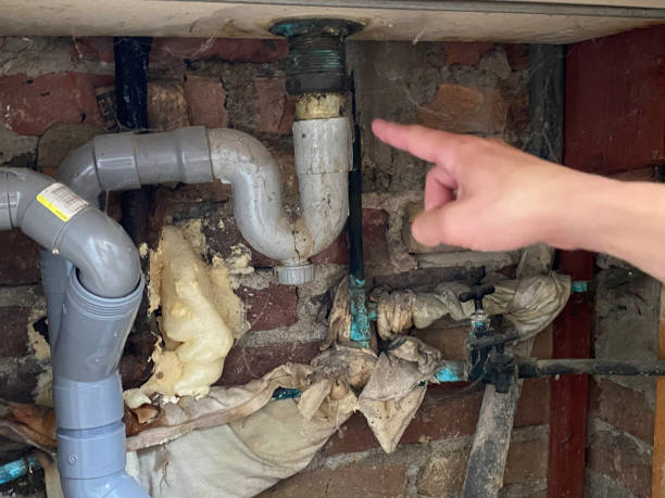 Best Mold removal after water damage  in Lexington, TN