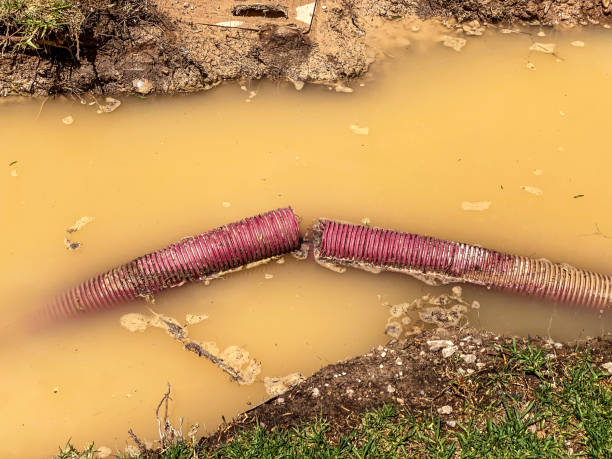 Water damage restoration mold remediation in Lexington, TN