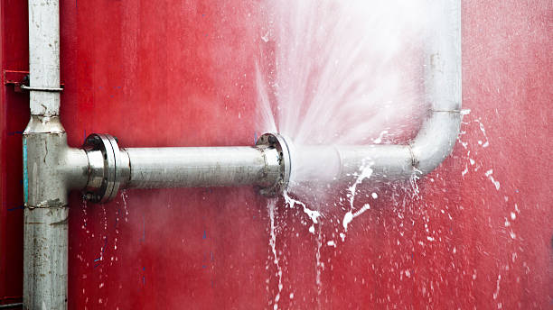  Lexington, TN Water damage restoration Pros